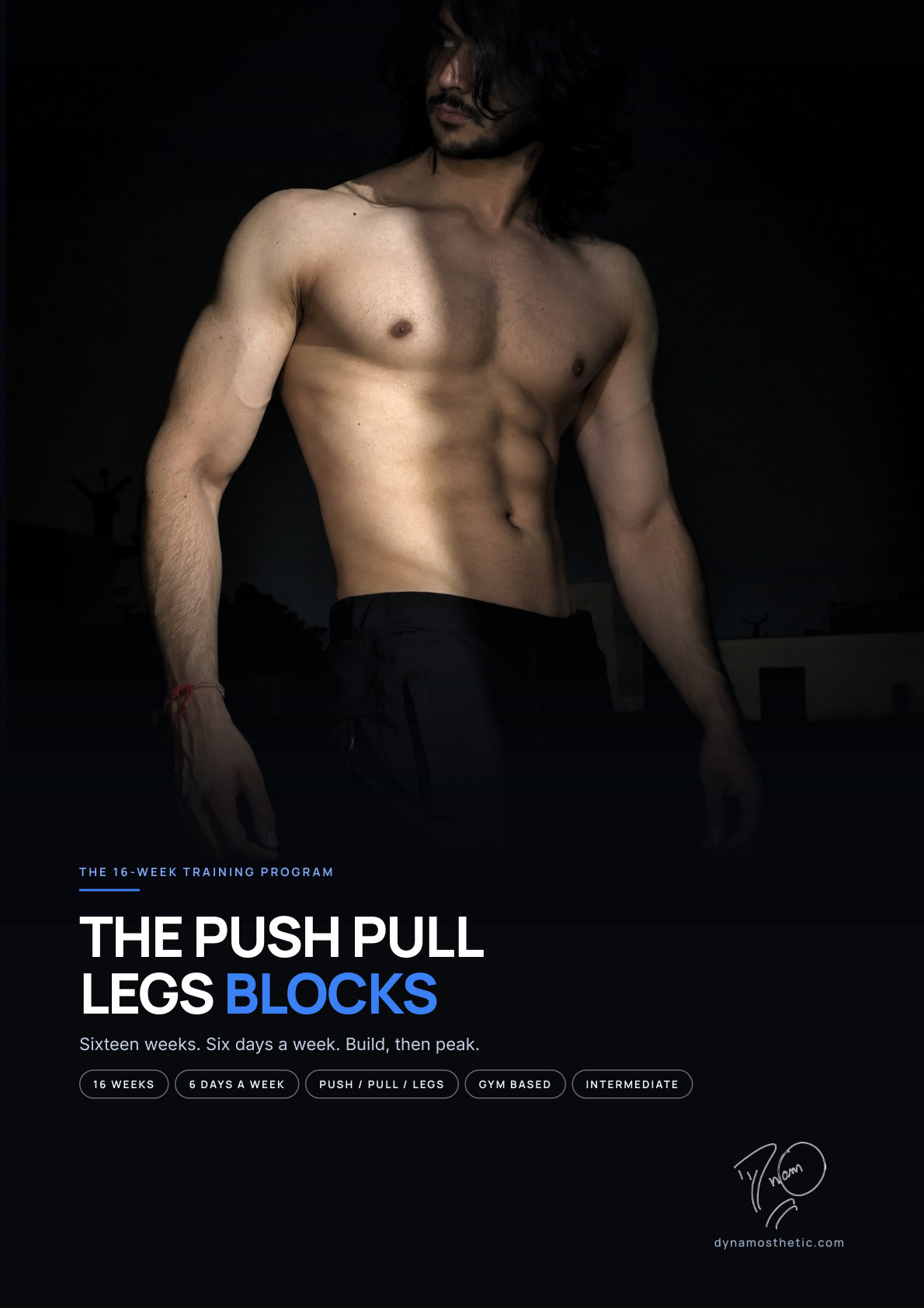 The Push Pull Legs Blocks cover